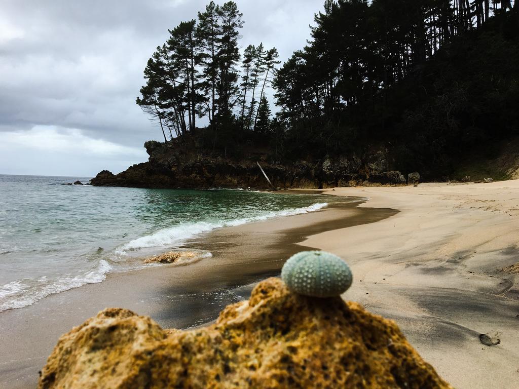 Whangamata Vistas B&B Екстер'єр фото